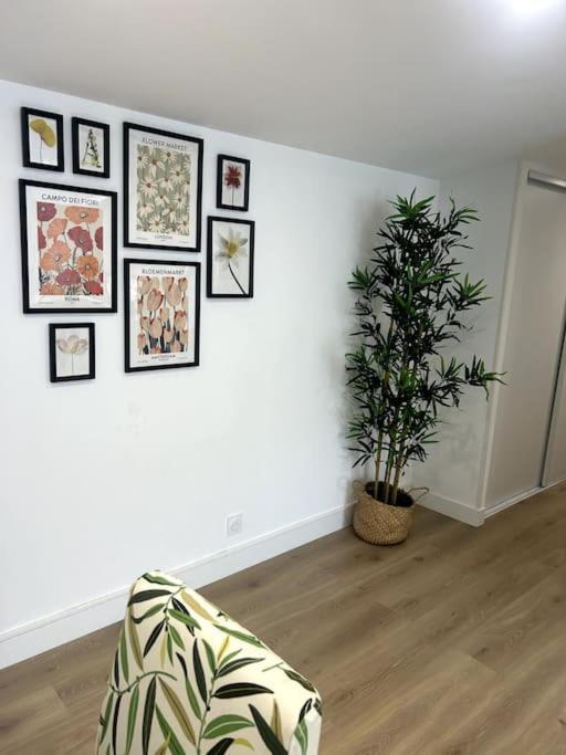 Appartement Cocon Chaleureux Au Coeur De Mirepoix Extérieur photo